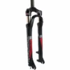 Suntour Raidon RL Air Fork